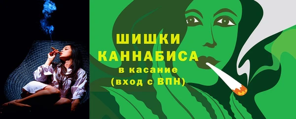 спайс Нягань