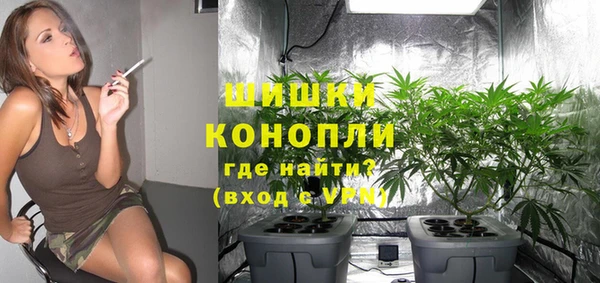 спайс Нягань
