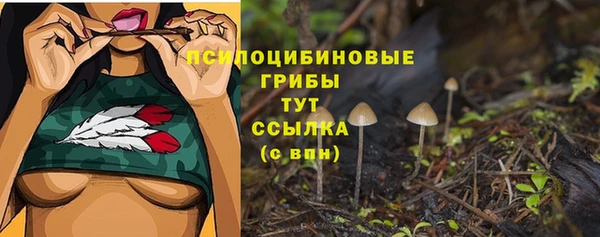 спайс Нягань